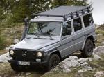 Mercedes-Benz G300 CDI Professional 2010 года